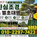신대양 | 경기 안산 제초작업 반월공단 신대양제지 2공장