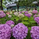 거창사건 추모공원 이미지