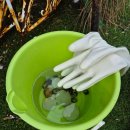 나눔펜션 | 태안 안면도 낚시패키지펜션 "썬하우스펜션" 갯벌체험 무료 대여와 바베큐 후기