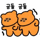 짱다육