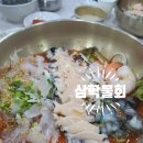세븐일레븐 삼천포용궁점 | 삼천포맛집 삼천포용궁수산시장맛집 "삼학물회" 내돈내산 후기(feat. 로또 명당 목화휴게소)