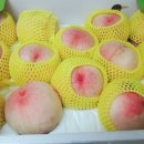 제부한빛 이미지