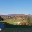 더플레이어스 골프스튜디오 이미지