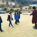 보람고등학교 Daum카페