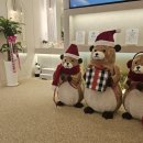 주니어소아치과의원 이미지