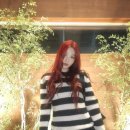 조이 이미지