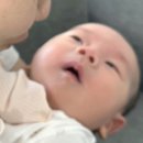 김종이 | [월간 김종이] 10월 :: 육아 빼면 일상이 없숴요