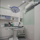 수동물병원 네이버블로그