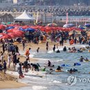 신성해수욕장 연합뉴스