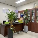 성심행정사사무소 이미지