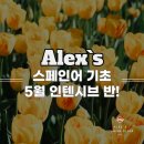 HOLA 스페인어 기초 문법 이미지