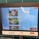 오팔식당 | 미아역 밥집 직장인 점심 추천 부대찌개 후기 오팔식당
