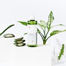 베라미스 이미지