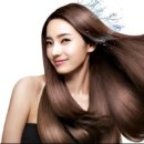 샴푸PC 이미지