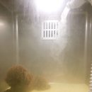 스마일동물병원 이미지