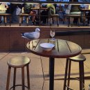 도도앤하우스 | 시드니 오페라하우스맛집 오페라바 Opera Bar 후기 메뉴추천