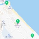 강릉 반려견 호텔 유치원 로젯펫살롱 세인트존스호텔점 이미지