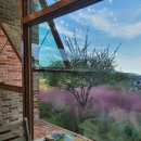 민수로 111번길 | [인천 영종도] 카페 림 | 마시안해변 숲속 카페, 핑크뮬리 뷰맛집, 스콘 맛집