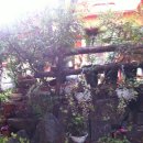 들꽃밥상 이미지