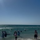 구개농장 | hivesgirl ep2