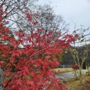 장계관광지 이미지