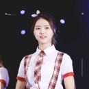 동반인