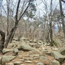 (유)대신건설 | 100대 명산 관악산 연주대 최단코스 등산 후기