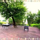 강아지천국 이미지