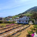 선학농장 이미지