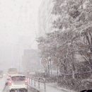 (주)이마트 트레이더스 월계점 이미지
