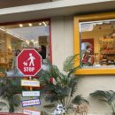 콩이 애견샵 이미지