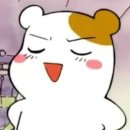 다즐링케이크