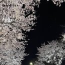 GS25 강릉사랑점 이미지
