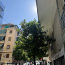 한보마트 | 그리스살이#1. 메가슈퍼게이헬스장 등록하기🌈, 한식재료사러 중국마트가기