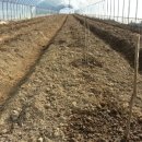 호구농장 이미지