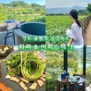 GS25 연지원심점 | 청도 글램핑 감성숙소 힐링 여행으로 다녀온 미러 &amp; 미러스테이 후기