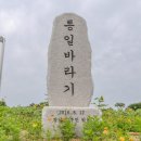 연천호로고루 | 시작되는 해바라기 축제, 연천 호로고루 방문 후기 (별 사진 명소)