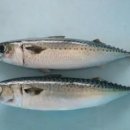 개포로22길 이미지