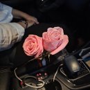 용계점기아오토큐 이미지