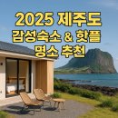 JS함덕 | 2025 제주도 감성숙소 핫플 명소 추천, 진짜 제주 감성을 만나는 여행 가이드