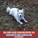 용연유치원 이미지