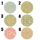 서울내과의원 이미지