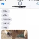 The슬림한약국 이미지