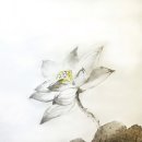 박인순