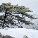 서울로 갑니다. 100대명산 수락산~불암산 연계산행! 2018년2월11일 일요일 이미지