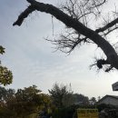 모래성 한옥 펜션 이미지