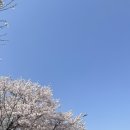 덕풍천서로 이미지