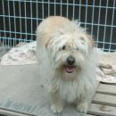 팅커벨하우스 이미지