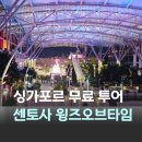 디스커버리투어 | 싱가포르 레이오버 무료 투어 센토사 디스커버리 투어 후기 feat 윙즈 오브 타임