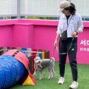 품애개 티스토리